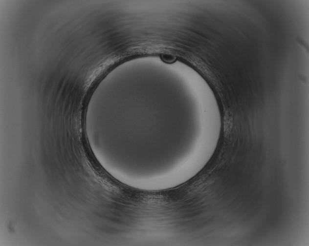 X0000100500438200807031944