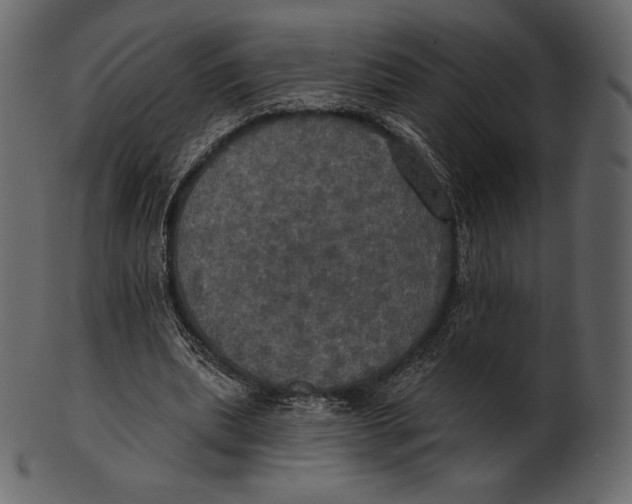 X0000100500439200807031944