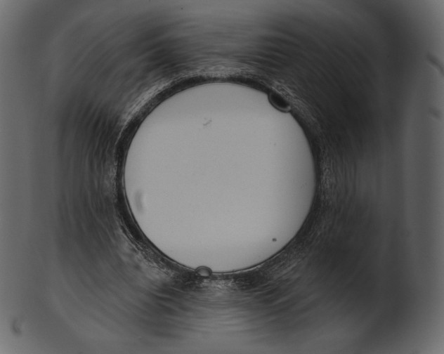 X0000100500440200807031944