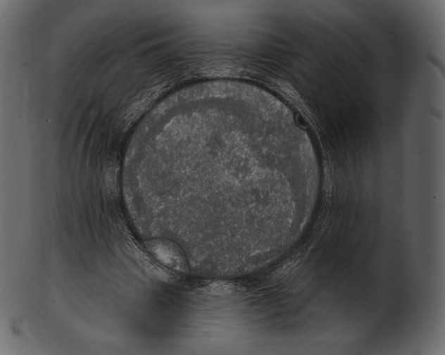 X0000100500441200807031944