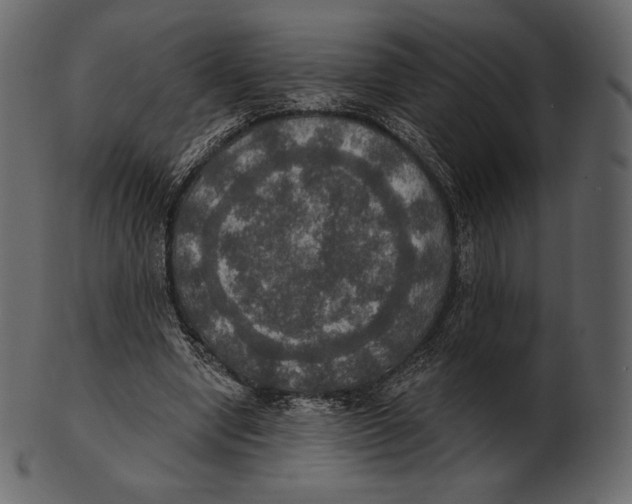 X0000100500442200807031944