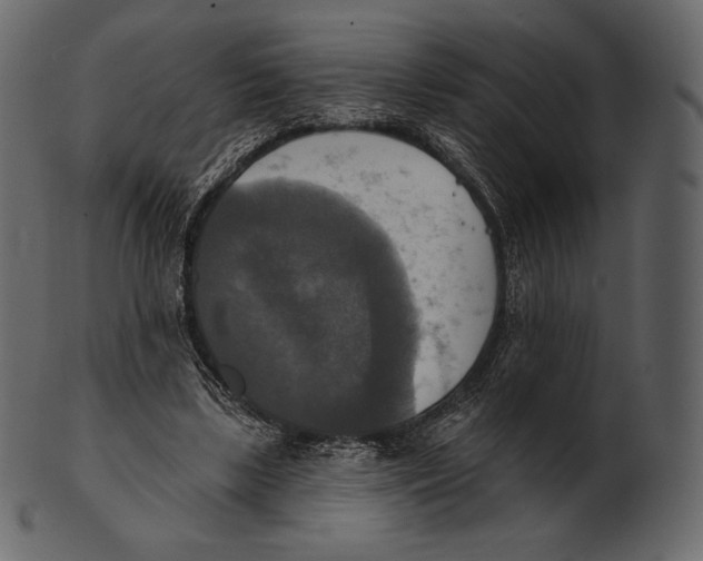 X0000100500443200807031945