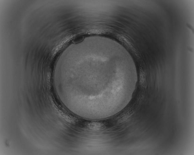 X0000100500444200807031945