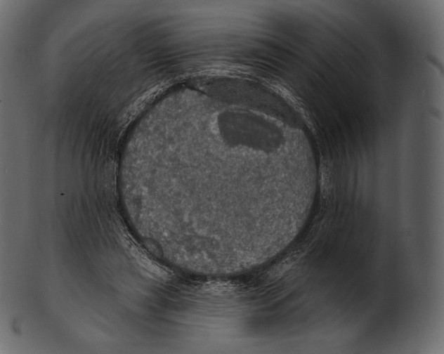 X0000100500445200807031945