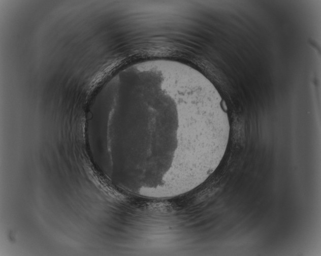 X0000100500446200807031945