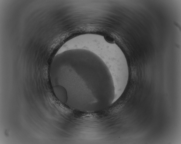 X0000100500447200807031945