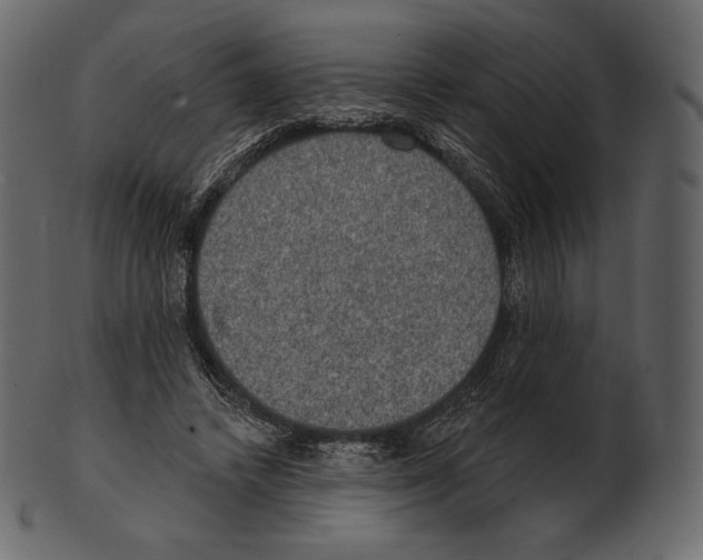 X0000100500448200807031945