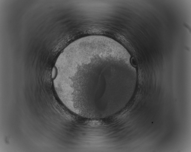 X0000100500449200807031945