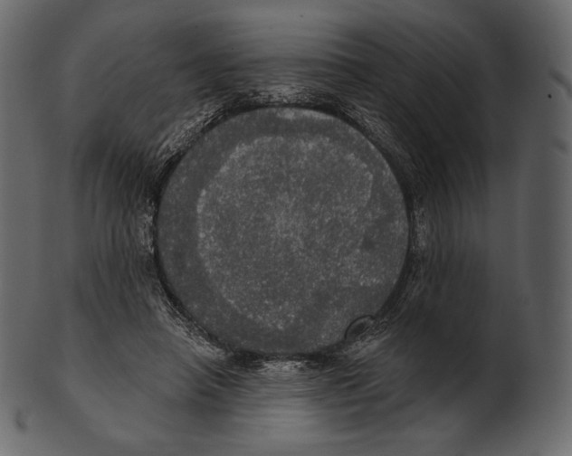 X0000100500450200807031945