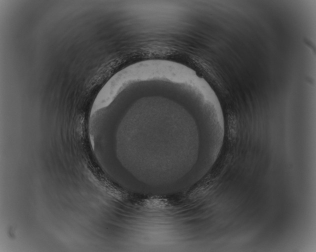 X0000100500451200807031945