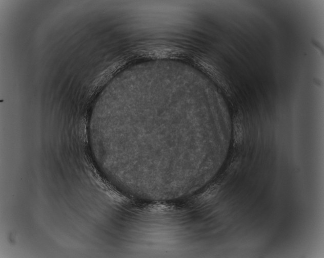 X0000100500453200807031945