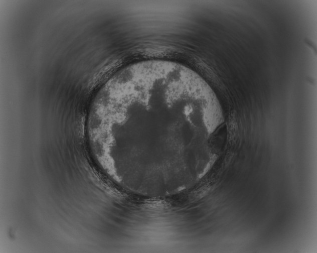 X0000100500454200807031945