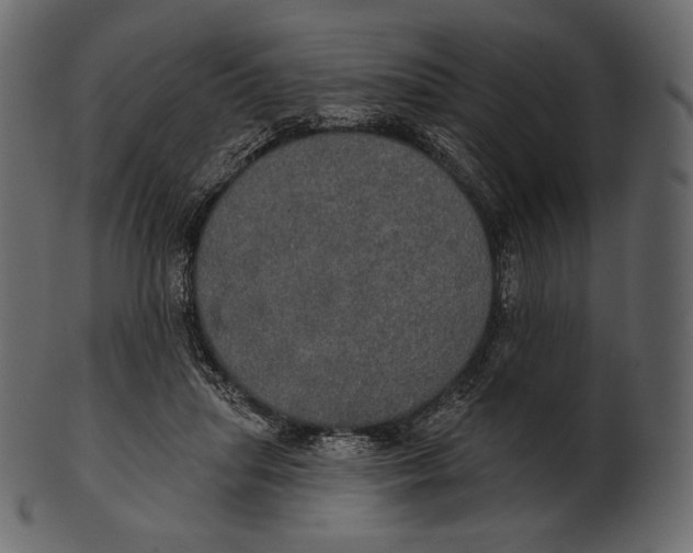 X0000100500455200807031945