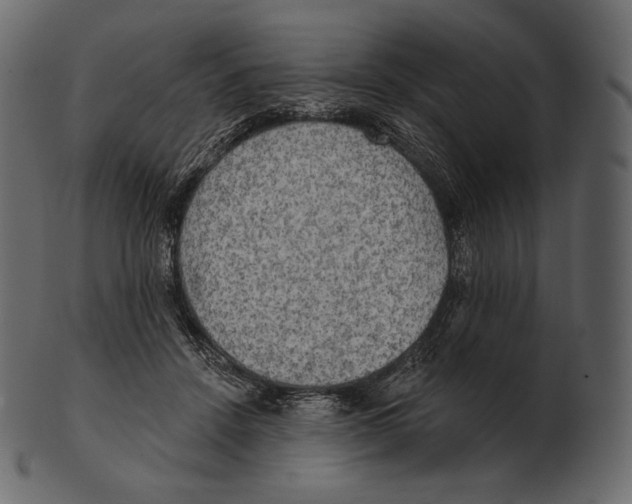 X0000100500456200807031945