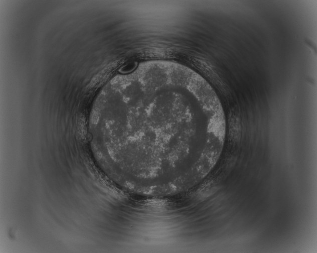 X0000100500457200807031945