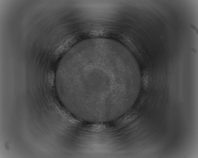 X0000100500458200807031945