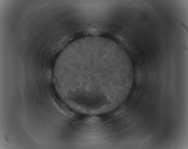 X0000100500459200807031945