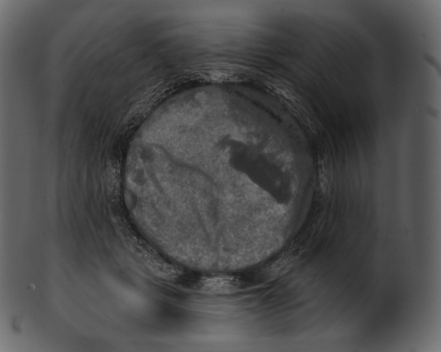 X0000100500461200807031945