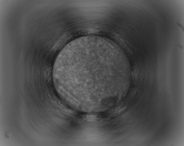 X0000100500462200807031945