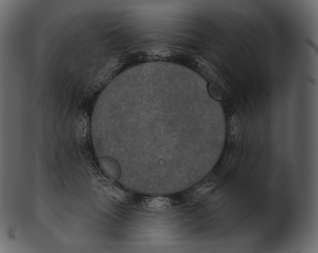 X0000100500463200807031945