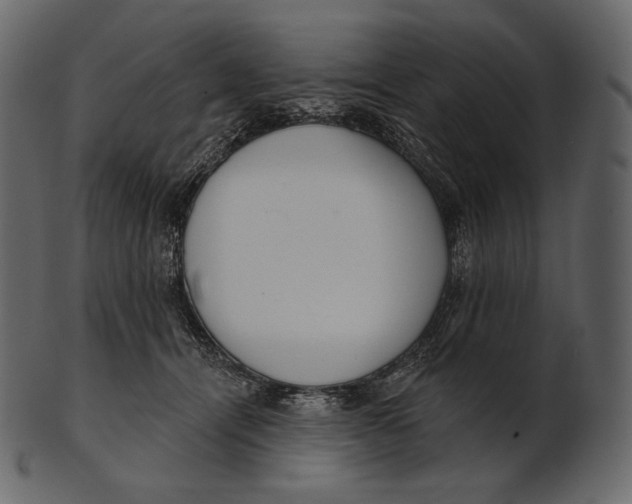 X0000100500464200807031945