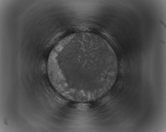 X0000100500465200807031945