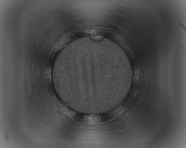 X0000100500466200807031945