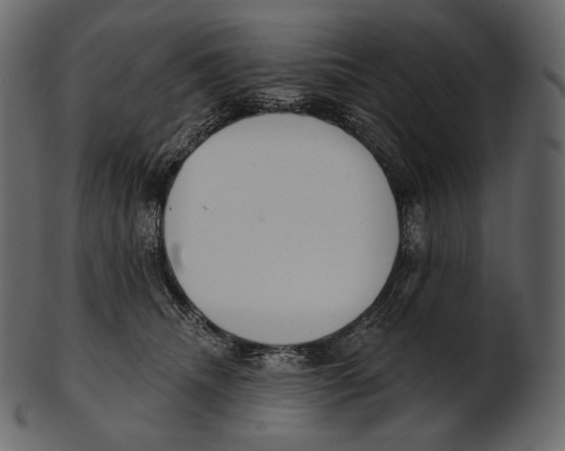 X0000100500468200807031945