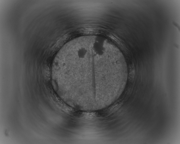 X0000100500469200807031945