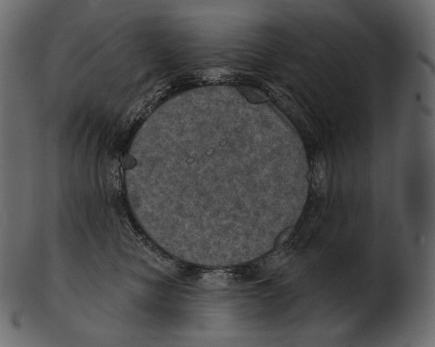 X0000100500470200807031945