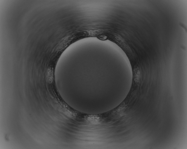 X0000100500471200807031945