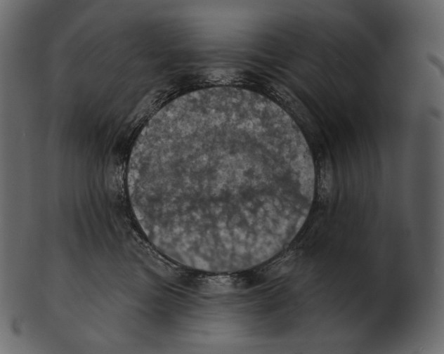 X0000100500473200807031945