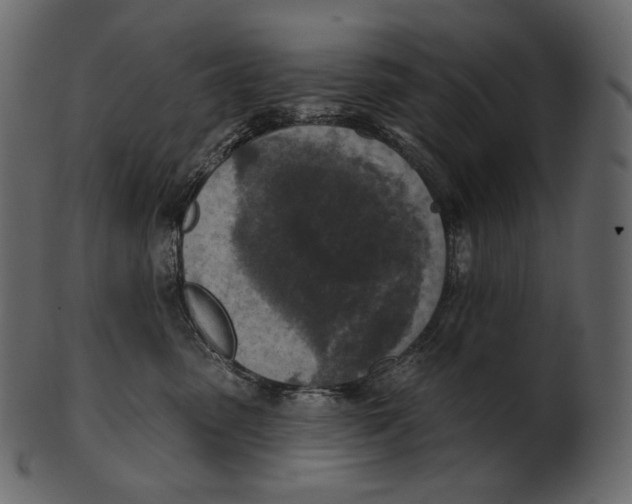 X0000100500475200807031945