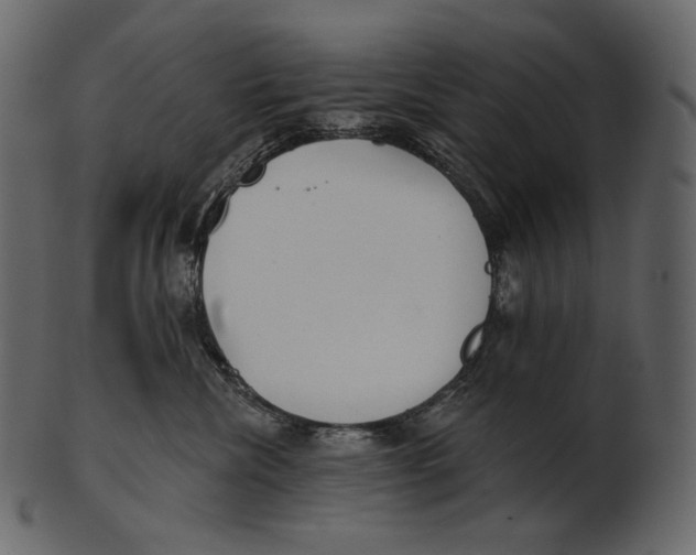 X0000100500476200807031945