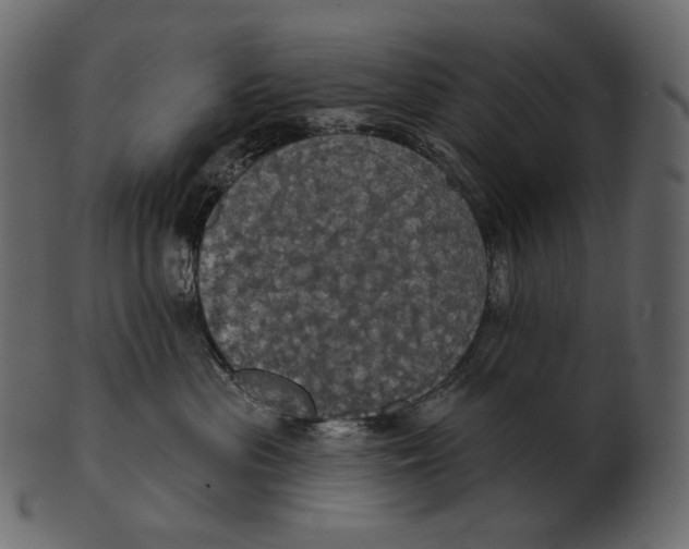 X0000100500477200807031945