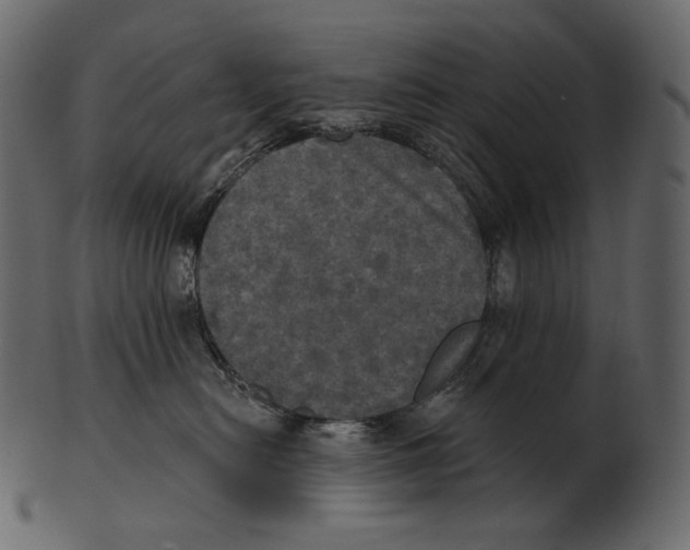 X0000100500478200807031945