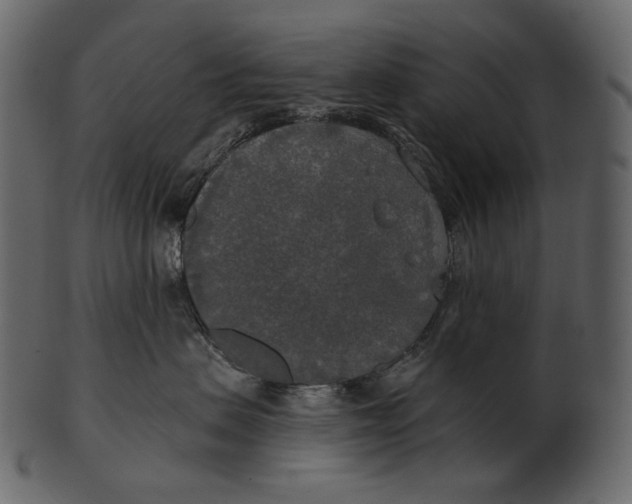 X0000100500479200807031945