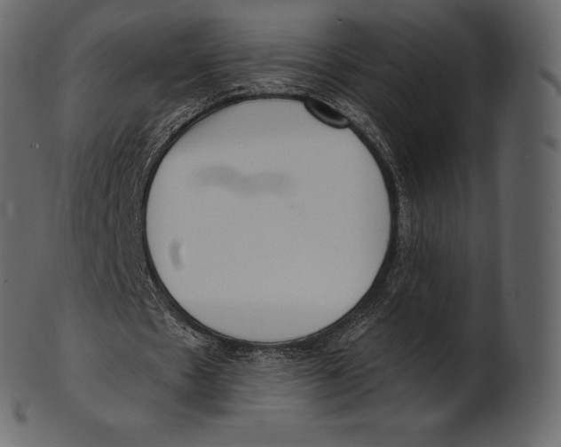 X0000100500481200807031944