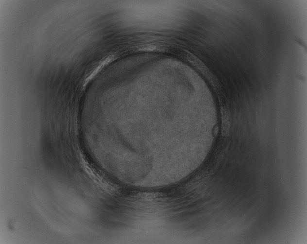 X0000100500482200807031944