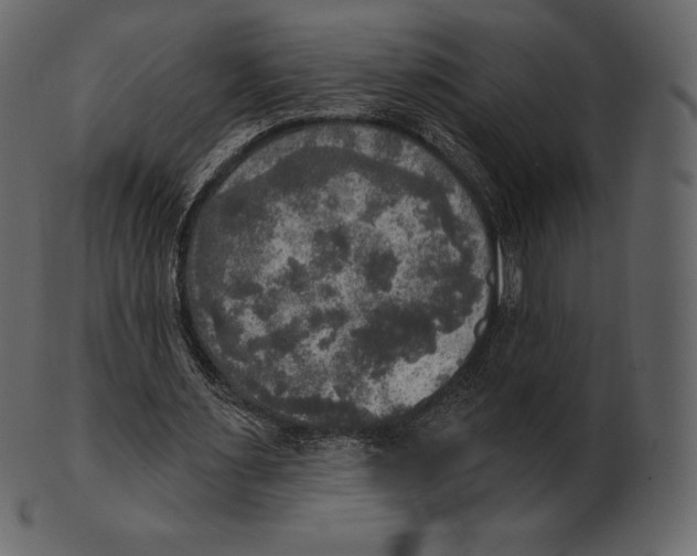 X0000100500483200807031944