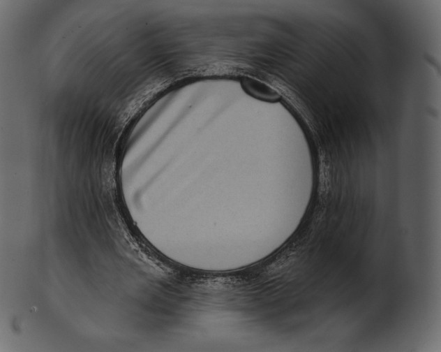 X0000100500485200807031944