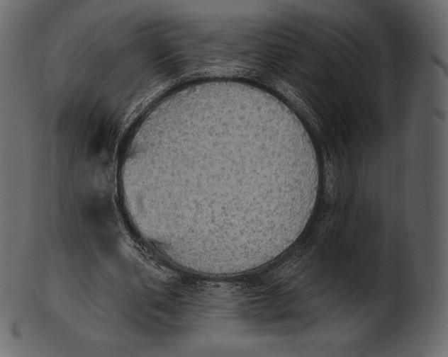 X0000100500486200807031944