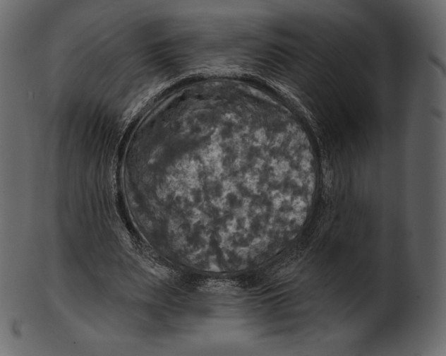 X0000100500487200807031944