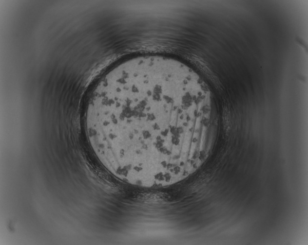 X0000100500488200807031944