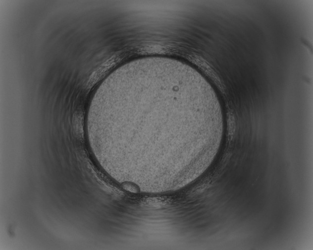 X0000100500489200807031944