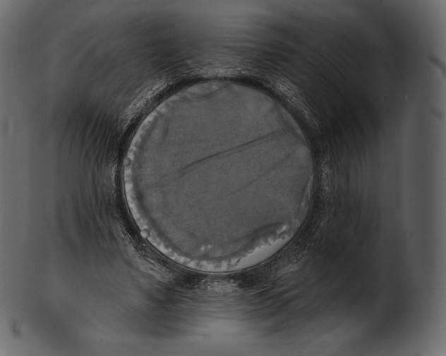 X0000100500491200807031944