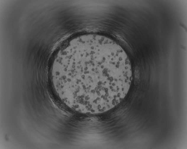 X0000100500492200807031944