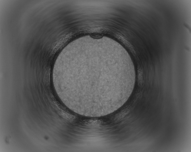 X0000100500493200807031944