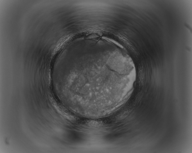 X0000100500494200807031944