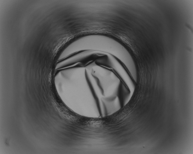 X0000100500495200807031944